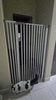 (Category: ) located in . Submitted by mags96 (Listing ID 1427799576, Image 1). Description: .
