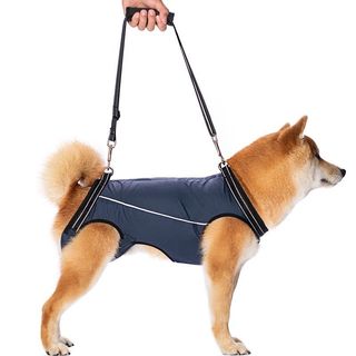 (Category: ) located in . Submitted by yhq (Listing ID 1427854552, Image 1). Description: .