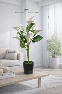 (Category: ) located in . Submitted by altonflowerscomm (Listing ID 1427819926, Image 1). Description: .