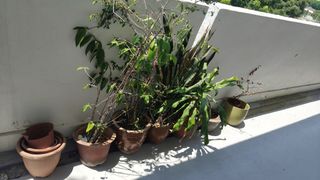 (Category: ) located in . Submitted by sg028188 (Listing ID 1427898520, Image 1). Description: .