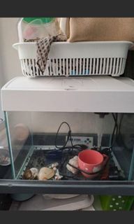 （分類：）位於 。 由 sweet143 提交（商品編號 1427923871，圖片 1）。簡介： 。
