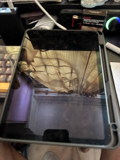 (Category: ) located in . Submitted by godspeed_25 (Listing ID 1427881082, Image 1). Description: .