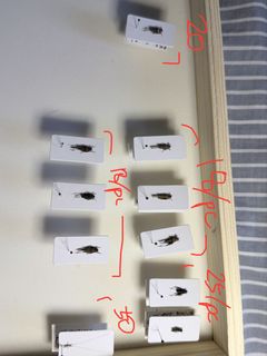 (Category: ) located in . Submitted by sg_invertebrate (Listing ID 1427871766, Image 1). Description: .
