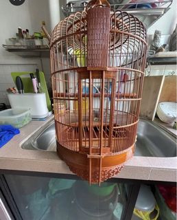 (Category: ) located in . Submitted by willyl12 (Listing ID 1428070649, Image 1). Description: .