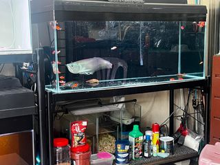 (Category: ) located in . Submitted by lawrence_savage (Listing ID 1428042215, Image 1). Description: .