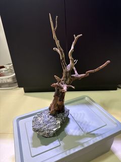 (Category: ) located in . Submitted by angweikok (Listing ID 1428043017, Image 1). Description: .