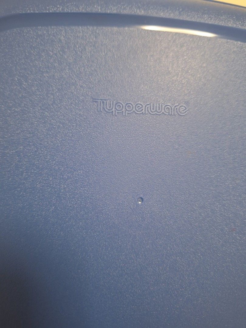 Authentic tupperware (Category: Everything Else) located in Singapore. Submitted by librantea (Listing ID 1427947757, Image 2). Description: can meet up at mrt station or platform. timing can be discuss. All for $8..