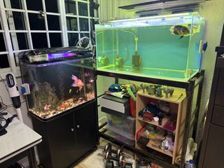 (Category: ) located in . Submitted by chrisshopping (Listing ID 1428051392, Image 1). Description: .