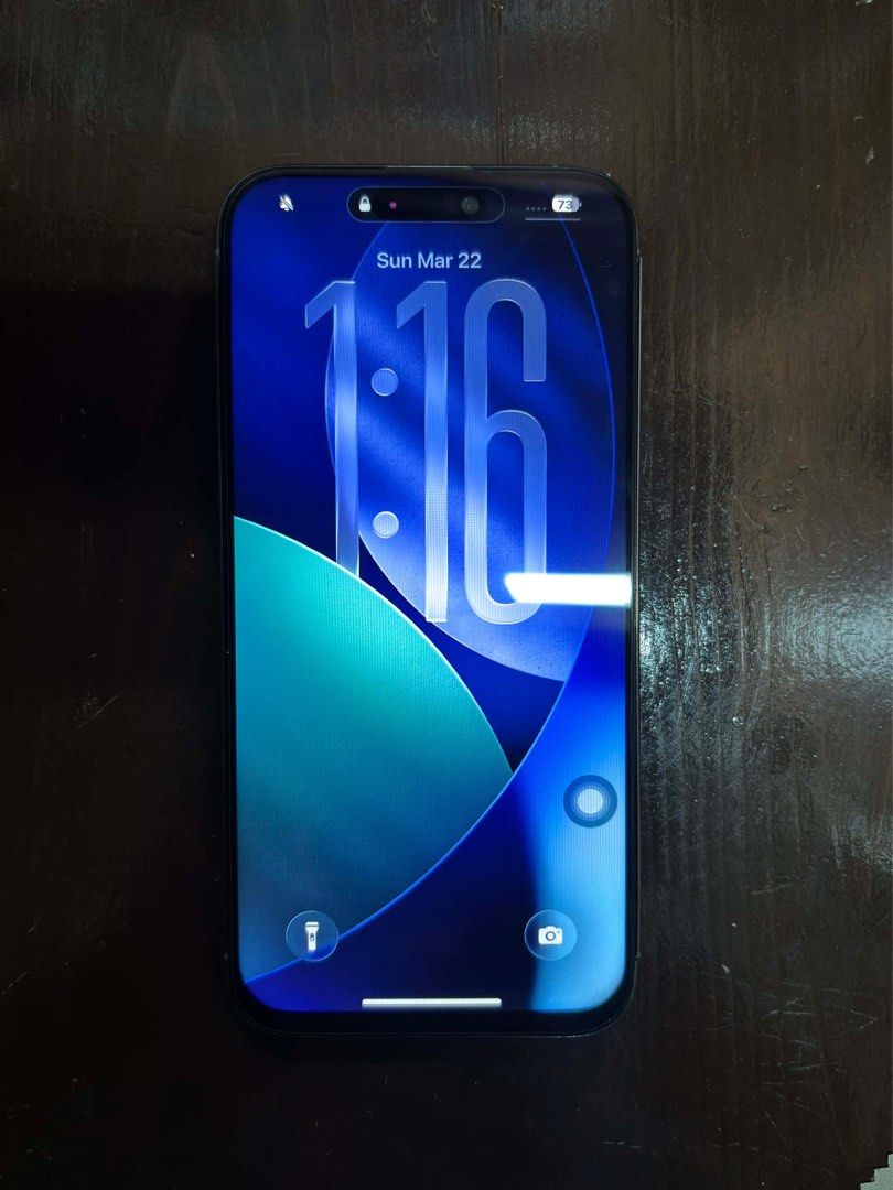 iphone 15 pro max 256 gb (can swap + dagdag) READ ISSUES FIRST (Category: iPhone 15 Series) located in Manila. Submitted by julel (Listing ID 1427941469, Image 2). Description: - replaced with unofficial lcd - newly replaced but unofficial battery - newly installed tempered glass - tiny blue dot at the top right but barely visible. cant be seen if on dark mode - volume up button and action button needs to be fixed (i personally use the double tap