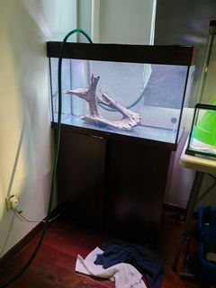 (Category: ) located in . Submitted by pugster (Listing ID 1428025782, Image 1). Description: .