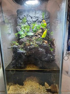 (Category: ) located in . Submitted by ray_8051 (Listing ID 1427968786, Image 1). Description: .