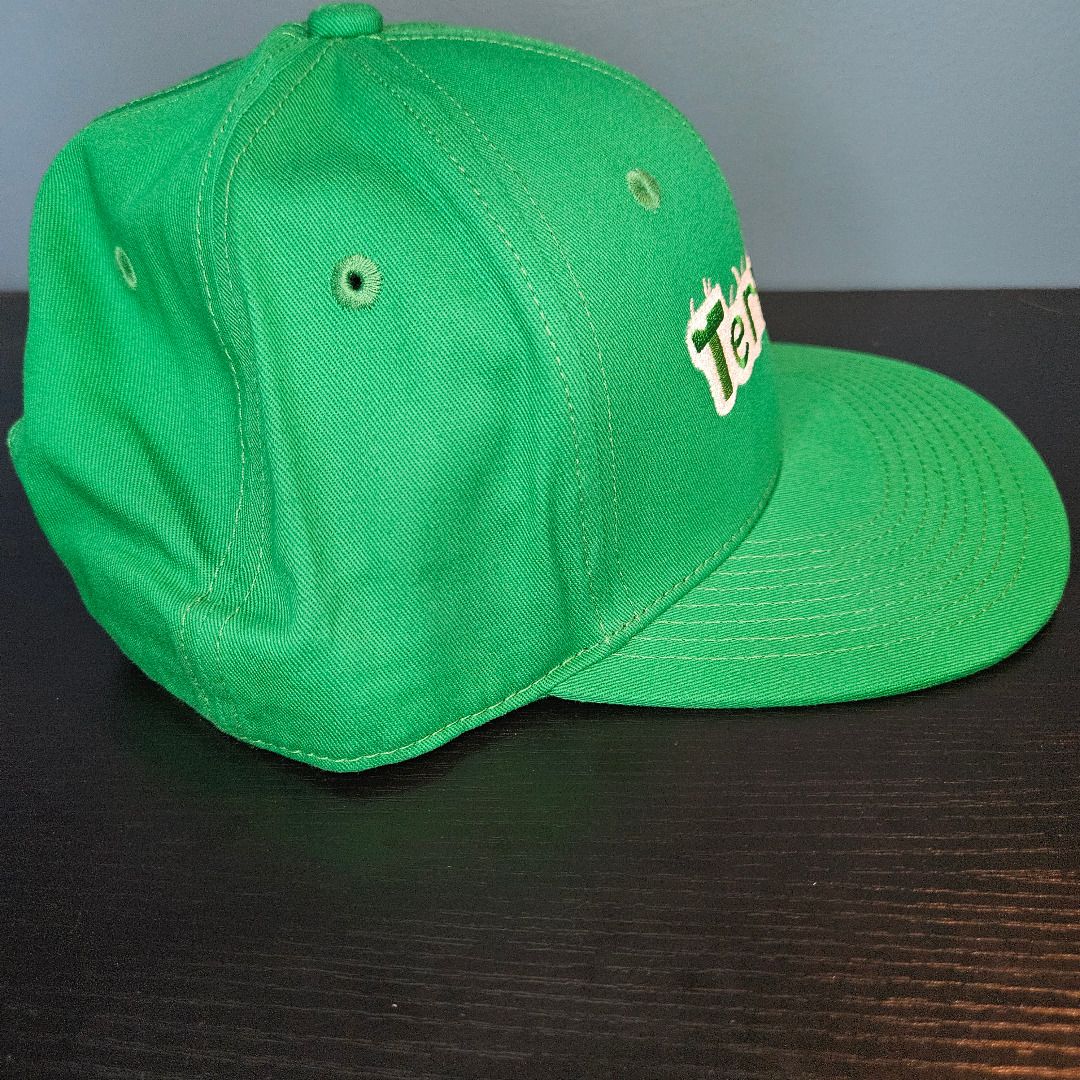Terraria Green Hat (Category: Caps & Hats) located in Santa Rosa. Submitted by mcaps26 (Listing ID 1428016555, Image 2). Description: Terraria Cap -Adjustable snapback Discounts for purchases of 3 or more caps. Drop a message for inquiries. .