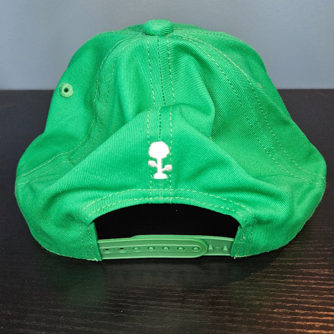 Terraria Green Hat (Category: Caps & Hats) located in Santa Rosa. Submitted by mcaps26 (Listing ID 1428016555, Image 3). Description: Terraria Cap -Adjustable snapback Discounts for purchases of 3 or more caps. Drop a message for inquiries. .
