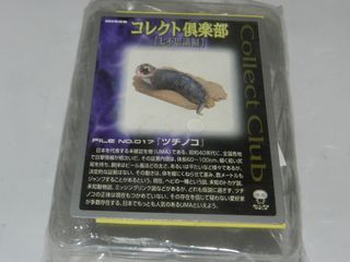 （分類：）位於 。 由 christoy 提交（商品編號 1427999338，圖片 1）。簡介： 。