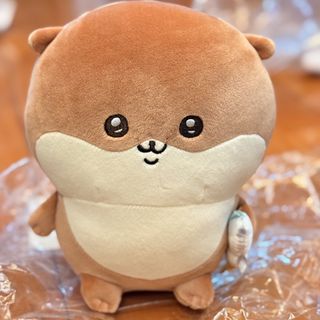 （分類：）位於 。 由 looneis 提交（商品編號 1428229175，圖片 1）。簡介： 。