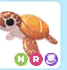 (Category: ) located in . Submitted by bloxgamecardshop (Listing ID 1428182751, Image 1). Description: .
