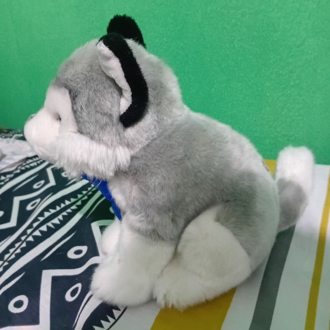 Blue Magic Husky Dog Plush Toy (Category: Plushies & Soft Toys) located in Mandaluyong City. Submitted by trish125 (Listing ID 1428192511, Image 2). Description: Blue Magic Husky Dog Decluttering, nakastock lang Loc: Silang Cavite.