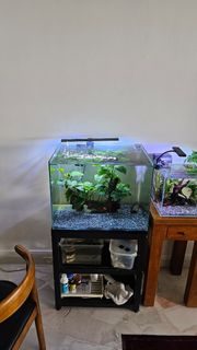 (Category: ) located in . Submitted by m.razali (Listing ID 1428145937, Image 1). Description: .