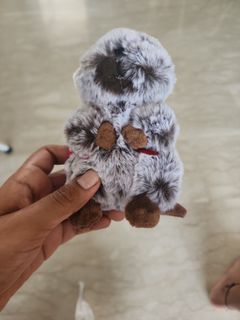 (Category: ) located in . Submitted by reyanshog (Listing ID 1428172311, Image 1). Description: .