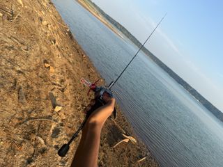(Category: ) located in . Submitted by fastreplierzz (Listing ID 1428224727, Image 1). Description: .