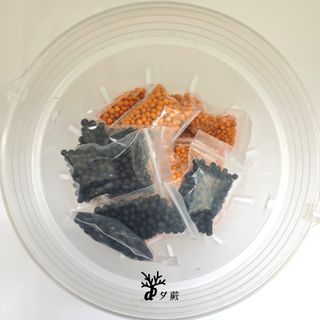 (Category: ) located in . Submitted by d.botanics (Listing ID 1427377656, Image 1). Description: .