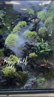 (Category: ) located in . Submitted by nature_art_studio (Listing ID 1428391361, Image 1). Description: .
