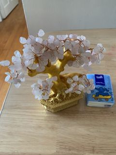（分類：）位於 。 由 taikoomami 提交（商品編號 1428288568，圖片 1）。簡介： 。