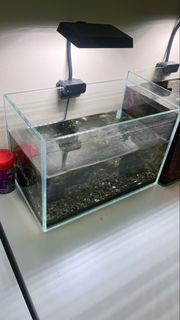 (Category: ) located in . Submitted by mrzstore1 (Listing ID 1428401789, Image 1). Description: .