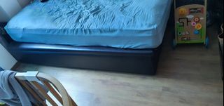 (Category: ) located in . Submitted by squidle (Listing ID 1428295998, Image 1). Description: .