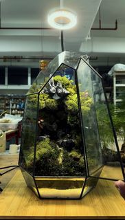 (Category: ) located in . Submitted by nature_art_studio (Listing ID 1428394152, Image 1). Description: .