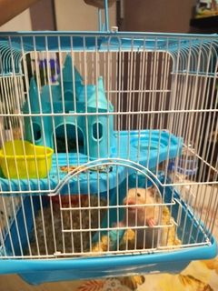 (Category: ) located in . Submitted by amirul83 (Listing ID 1428394663, Image 1). Description: .