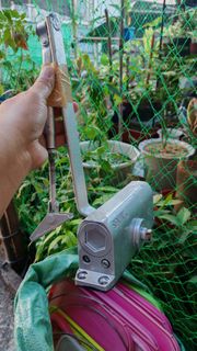 (Category: ) located in . Submitted by plantcorner (Listing ID 1428274246, Image 1). Description: .
