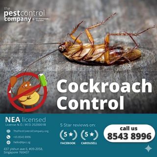 (Category: ) located in . Submitted by pestcontrolcompany (Listing ID 1172126608, Image 1). Description: .