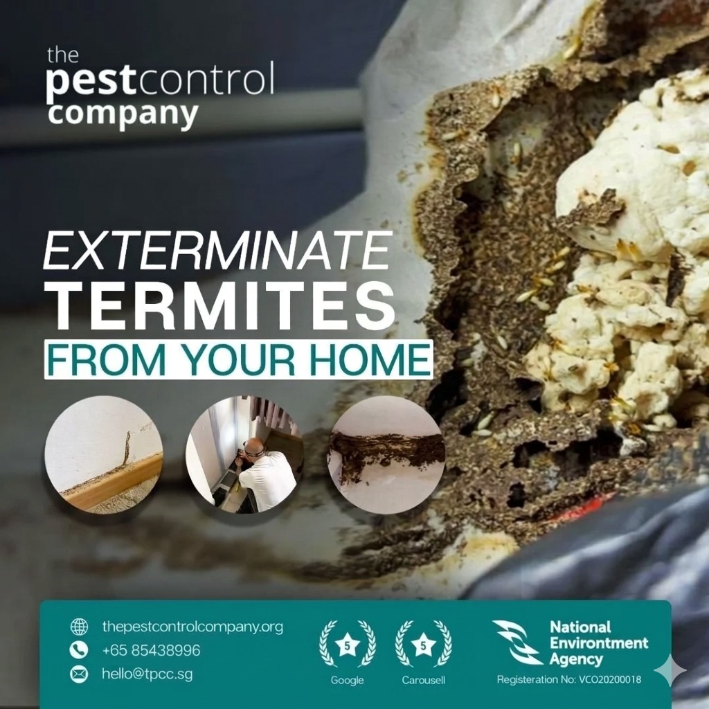 (Category: ) located in . Submitted by pestcontrolcompany (Listing ID 1073757527, Image 1). Description: .
