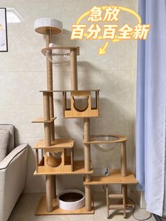 （分類：）位於 。 由 pompegardi 提交（商品編號 1428438486，圖片 1）。簡介： 。