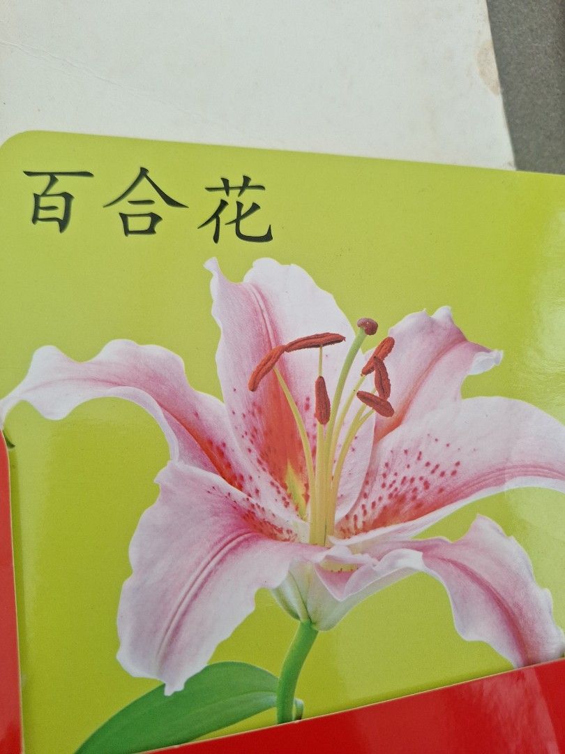 Chinese Early Learning Flashcards Set, Hobbies & Toys, Books ...