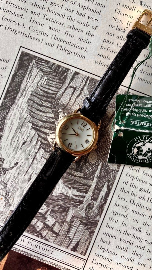 A closer look at Eco Luxury Security Rentals