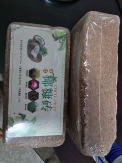 (Category: ) located in . Submitted by liang9938 (Listing ID 1428493584, Image 1). Description: .