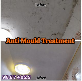 Mould Treatment  Collection item 3