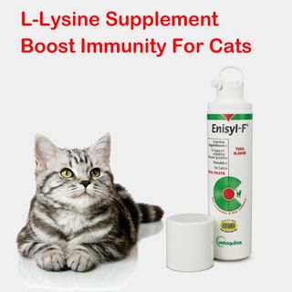(Category: ) located in . Submitted by petminimart (Listing ID 1428463193, Image 1). Description: .