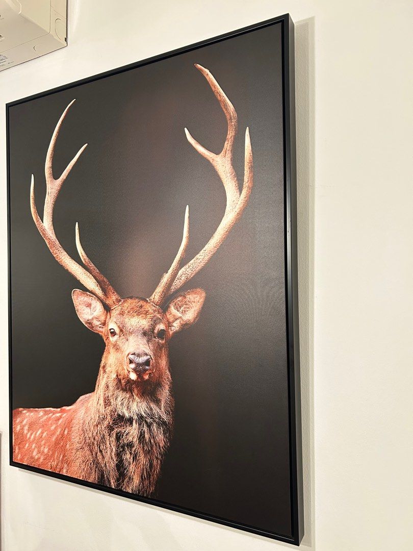 Framed Print Deer446840445821276161
