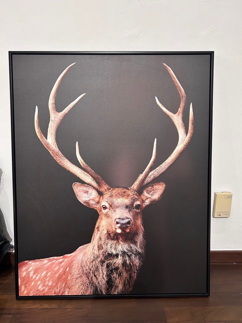 Framed Print Deer