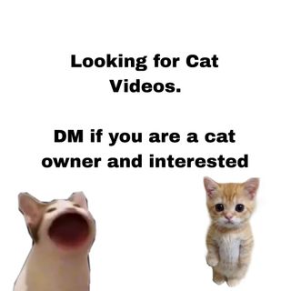(Category: ) located in . Submitted by afinite (Listing ID 1428528122, Image 1). Description: .