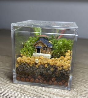 (Category: ) located in . Submitted by pocketjungle (Listing ID 1428552706, Image 1). Description: .