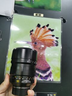 （分類：）位於 。 由 shamwo_114 提交（商品編號 1428677869，圖片 1）。簡介： 。