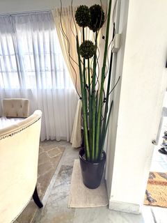 (Category: ) located in . Submitted by suefaz53 (Listing ID 1428611564, Image 1). Description: .