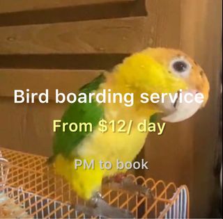 (Category: ) located in . Submitted by birdboarderelmo (Listing ID 1363785994, Image 1). Description: .