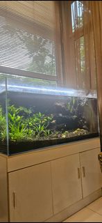 (Category: ) located in . Submitted by ninz30 (Listing ID 1428711191, Image 1). Description: .