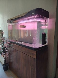 (Category: ) located in . Submitted by rmsaran (Listing ID 1428625754, Image 1). Description: .