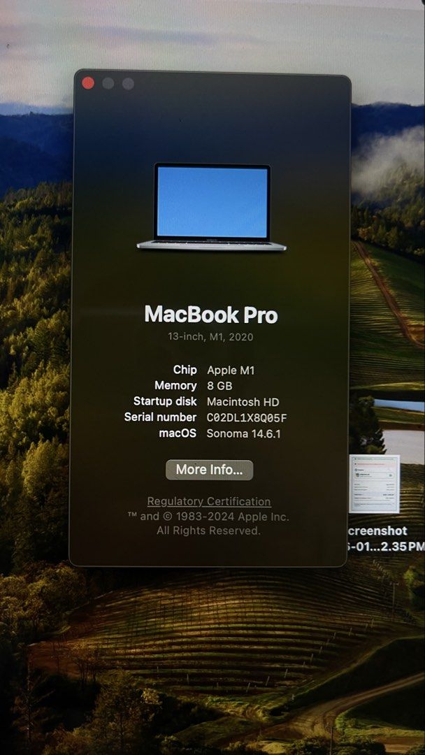 MacBook Pro 13-inch M1 2020412356532398336004